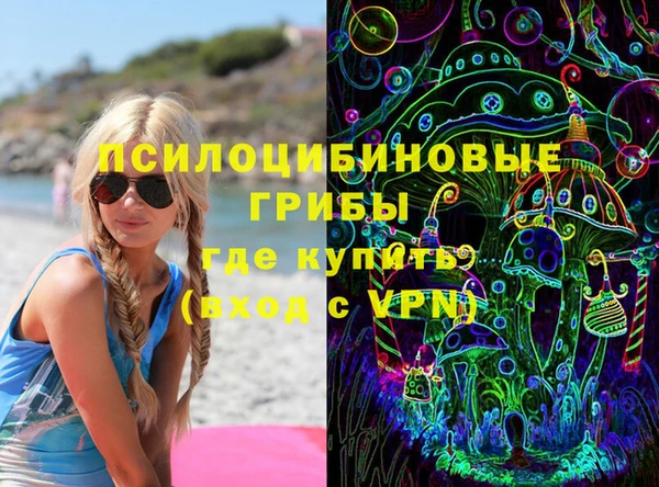 молекула духа Инсар