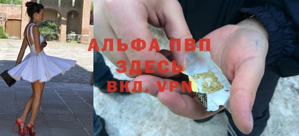 молекула духа Инсар