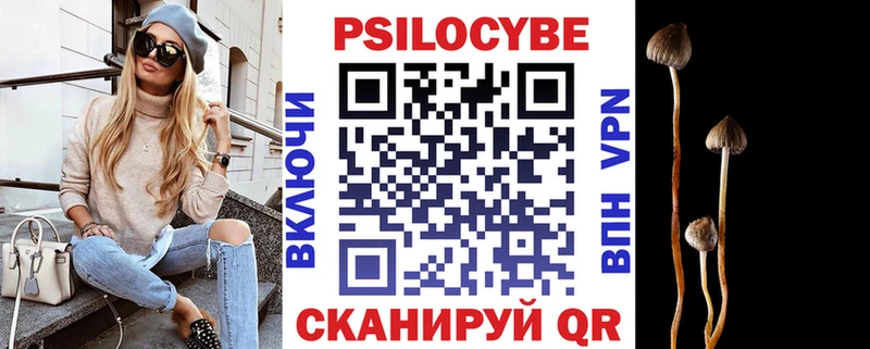 Галлюциногенные грибы прущие грибы  Купить  Никольск 